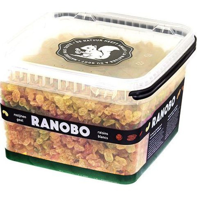 RAISIN SEC GOLDEN RANOBO SEAU 2KG